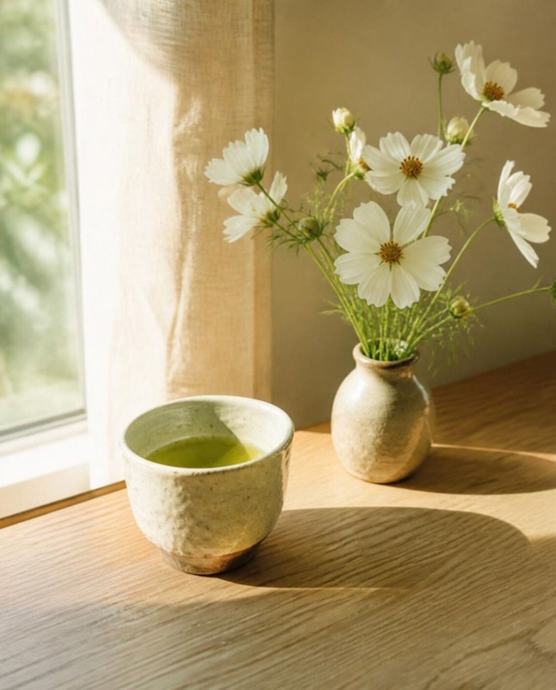 陽の差す窓辺に置かれた緑茶と白いコスモス